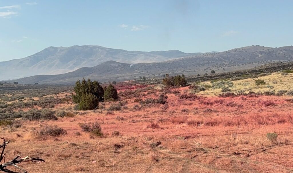 Aug. 9, 2026 – Bug Fire Update | Emergency Washoe