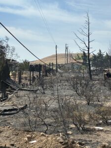 Photo of a burned wildland area.